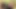 Indonesian local girl gets fucked while wear batik sarong  Fansly BbwThaixxx