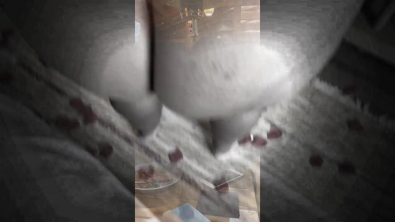 Alla hjärtans dag 2022 smutsig diana