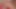 Desperate Amateurs Ally Misty Abby Savanna Coco Vicki Isabella Olivia Alex and Tiny getting their tight pussies stretched