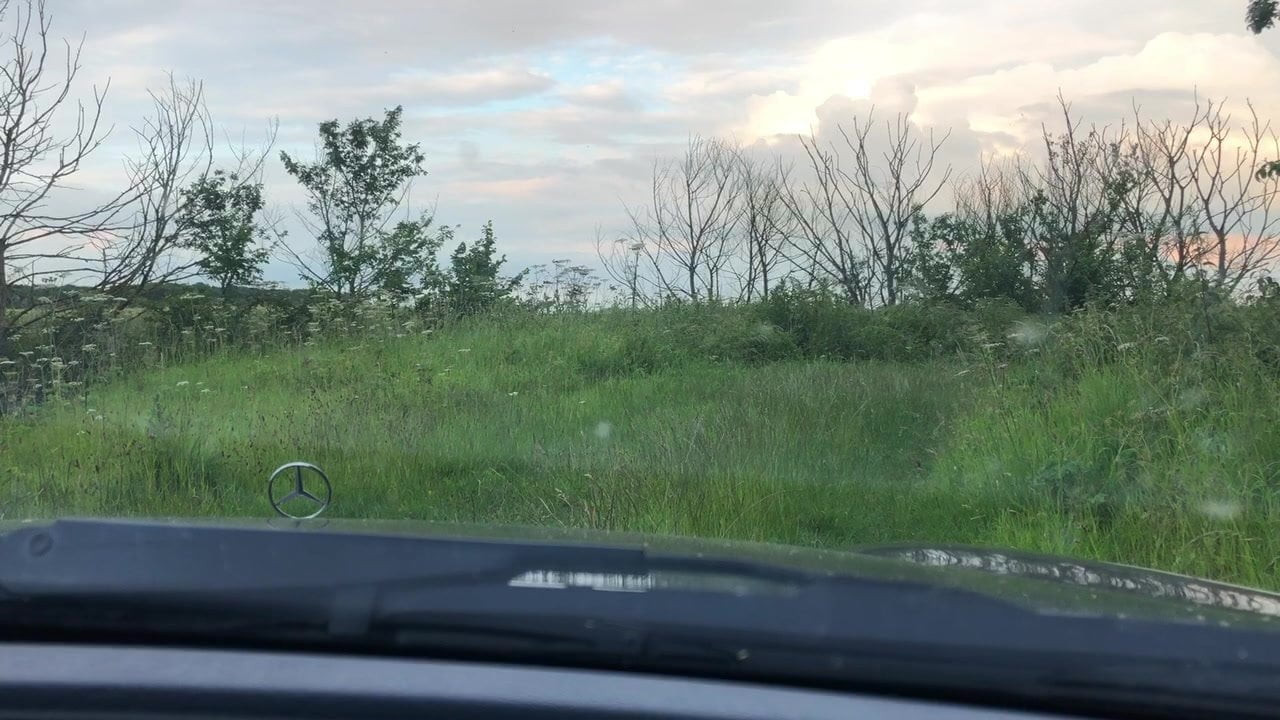 A piss in the country