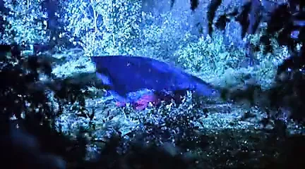 Patricia Arquette - Human Nature