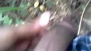 Jamaican flash in the woods