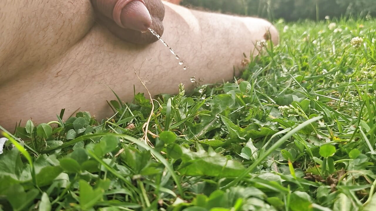 Outside naked in Amsterdam forest  just pissing on the grass