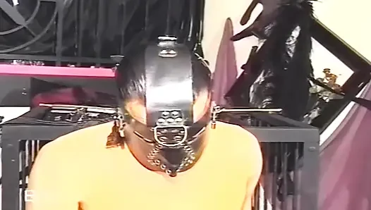 Kinky fuckers