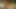 ドイツの扉の裏で熱心にやられる