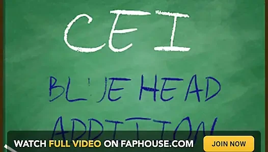 AUDIO ONLY - CEI blue head addition