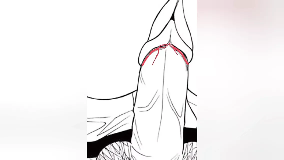 She likes this position for the depth while I deflower her - comic