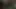 Sulu yarak