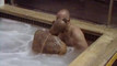 Pregled videozapisa