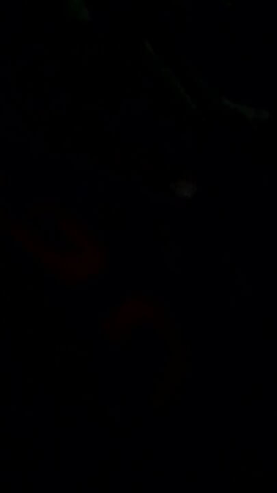 只在我的房间里