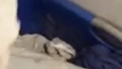 teyzeler