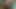 Melon  like GF fun  sex video
