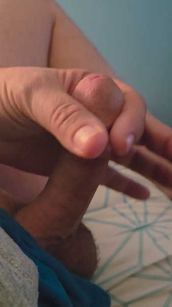 しごきがちで、硬いチンポを刺激するのがいい