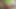 ROUGH FUCKAFAN MIX TEEN USER CUMSLUT INSTA lillylilofficial