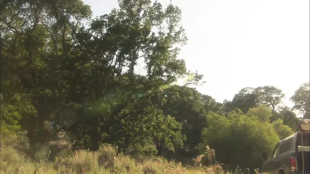 Lauren and hubby drives to the jungle and fuck fiercely