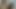 Sırayla yalıyorlar... ve hiçbiri düelloyu kaybetmek istemiyor - porno en español