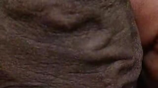 Desi man, hairy man Big dick flash