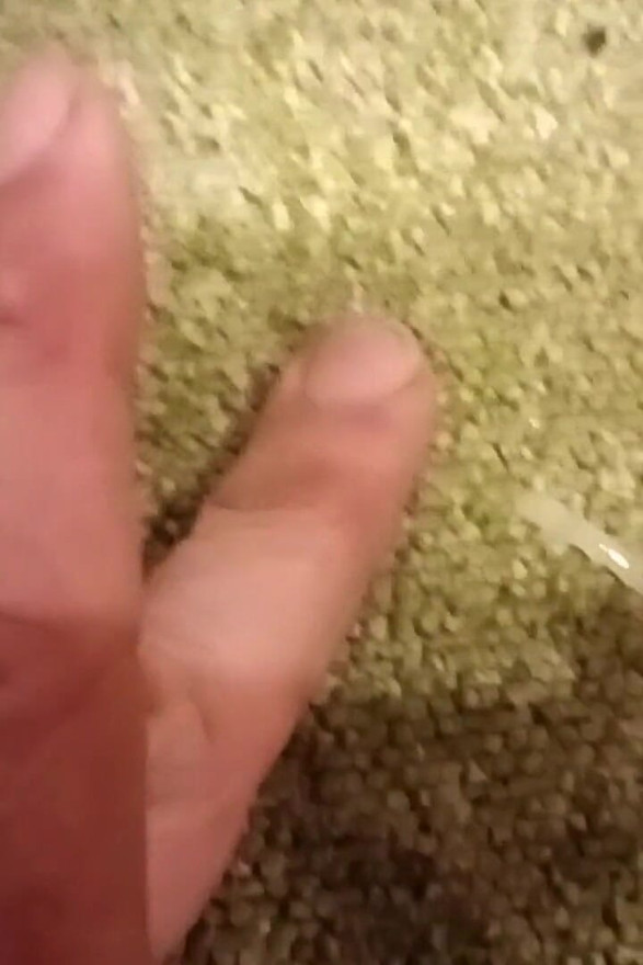 Fleshlight Pussy Stand Fuck and Hand Wank Masturbation