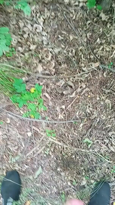 Key moment from "wank cruise. jerking off quickly in the woods until mom sees"