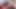 Domming My Cute Trans GF and Jacking off on Her Face!