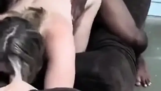 Cuckold Archive - Largest video collection of cuckold videos