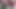 セクシービデオ