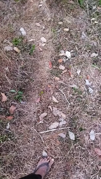Problems with penis piercings.Part 1. Pissing outdoor, Cocky