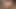 セクシーな女の子が快感に喘ぎ、2本の黒いペニスが彼女の穴に滑り込む