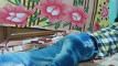 Pregled videozapisa