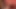 Furry Masturbation