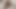 Sexy wife double penetrated hard fucking