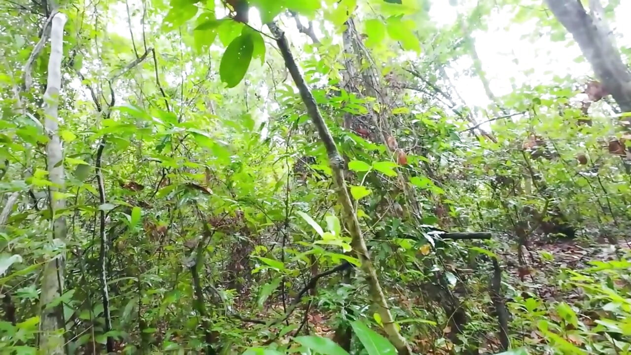 Thai Teenagers get Lost in the Forest and get Horny, so they have Sex.