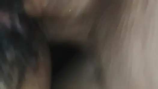Azgın boğa karımın amını sikiyor.
