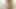 Komşum tuzağıma düştü, onu siktim