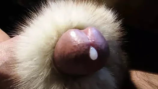 furecxtasy