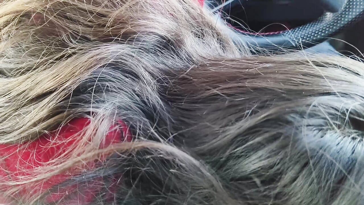 แฟนสาวอมควยให้แฟนหนุ่มในเย็ดรถในที่สาธารณะ