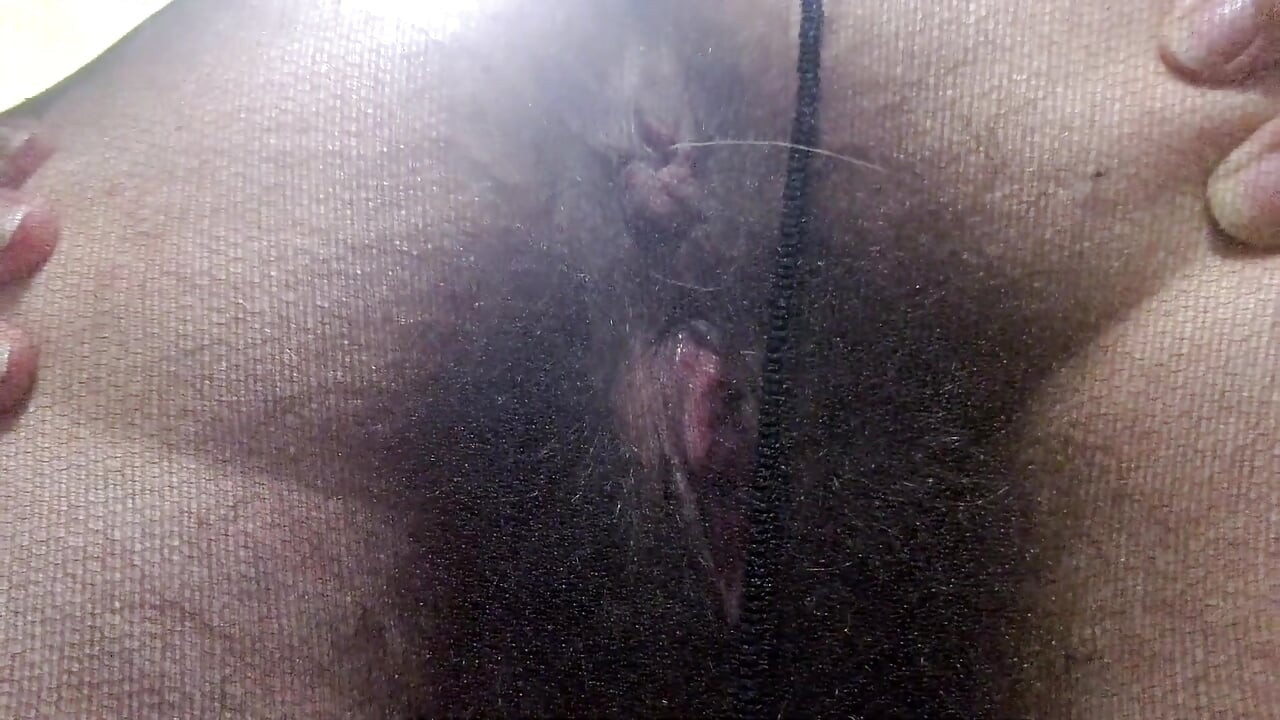 Open Wet Bush and Hairy Ass in Pantyhose (close-up) Facesitting POV