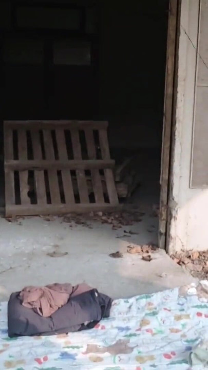 晴れた昼昼、アジア系の少年が古いオフィスビルの前で自慰行為をし、うめき声をあげ、射精し、精液を飲み込んでいる。 | クリップ 1