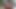 Threesome bareback sex with fat black dick