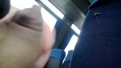 バスの中でペニスを露出-2014.11.25-パート2
