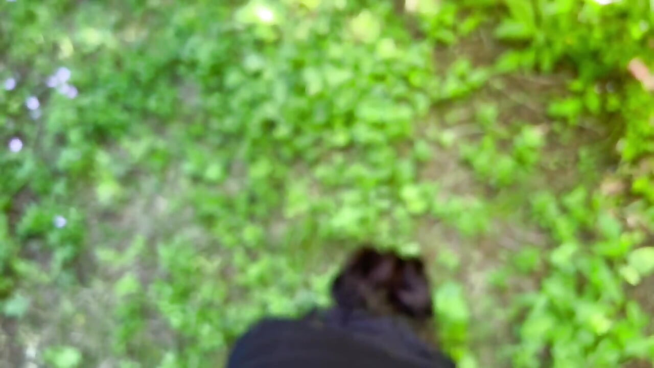 Anal in the Woods 3