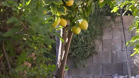 Bi Mason Skyy's Long Hard Cock Penetrates Deep