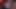 ミルフが大きなペニスをしゃぶるクローズアップ映像