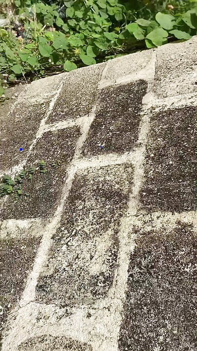 Pemotretan luar ruangan yang intens