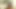 Bitch in hijab wants some photos from horny photographer
