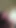 9 inçlik bir dildo gırtlağına kadar alıyor. Daha iyi bir yarak fahişesi olmak için öğürme refleksimden kurtulmak için elimden geldiğince pratik yapmaya çalışıyorum.