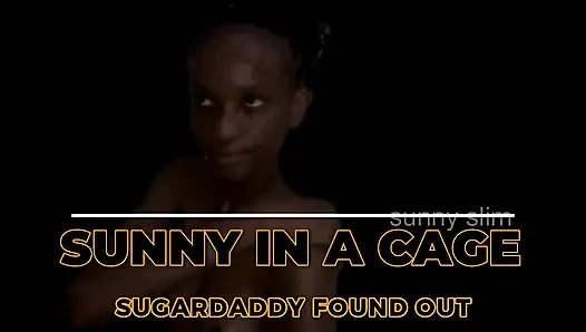 Sunny in a Cage