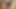Kadınlar sürtünüyor: s3 - ateşli lezbiyen genç orta yaşlı seksi kadın tarafından sikiliyor
