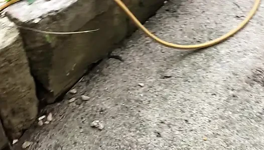 Lucky Scaffolders Gets to Watch Through the Window