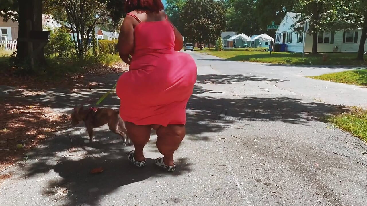 Potraga za